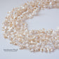 Freshwater Pearl Natural Color White Cleo Poppy Seed Beads 1Strand